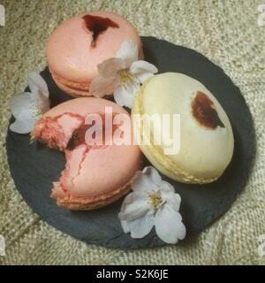 Drei Cherry Blossom aromatisiert Macarons auf schwarzem Schiefer coaster mit drei echten somei Yoshino Cherry Blossoms. Stockfoto