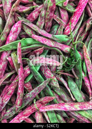 Full Frame von frische und köstliche reif Rosa gestreifte Dragon Zunge Bean, oder Dragon Zunge schälen Bean auf dem Display und zum Verkauf an die lokale Anbieter produzieren. Stockfoto