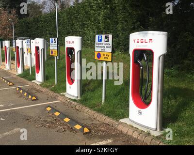 Bank von Tesla Elektroautos Ladestationen in Parkplatz Stockfoto