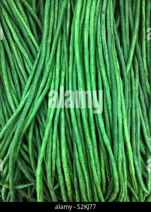 Frische und köstliche Reife raw yardlong Bean, lange-podded cowpea, Chinesisch lang Bohne, Bodi/Bora, Schlange Bean, Spargel Bohnen oder Erbsen Bean, bean auf dem Display und für den Verkauf auf dem lokalen Markt produzieren. Stockfoto