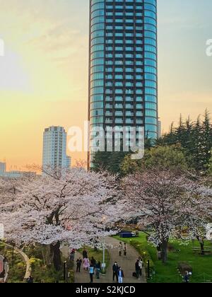 Aus Sicht eines Midtown Shopping Mall in Tokyo Japan während der Kirschblüte Saison. Stockfoto