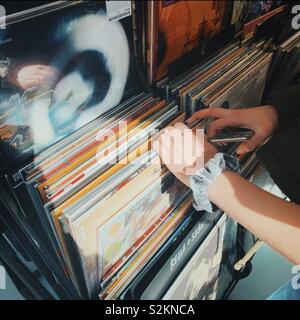 Weibliche Hände surfen Schallplatten in einem Geschäft Stockfoto