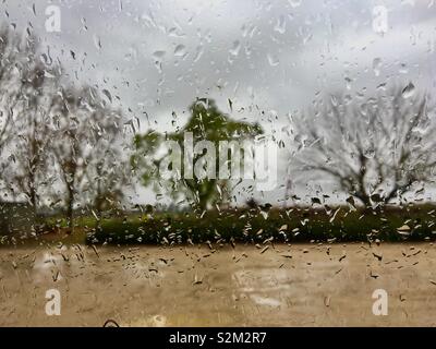 Regentag Wetter mit Wassertropfen auf Fenster mit einer verzerrten Blick auf die Bäume Stockfoto