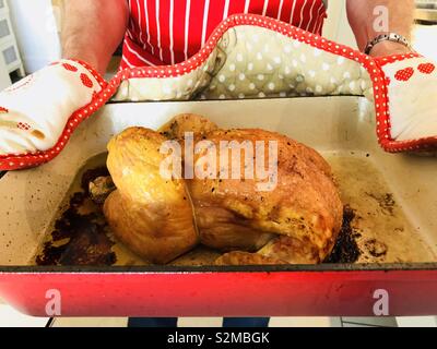 Gebratenes Hähnchen frisch aus dem Ofen Stockfoto