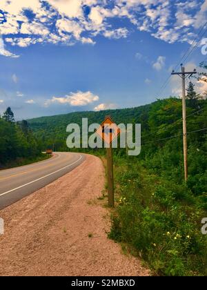 Elch Schild Warnung an der Seite der Straße in Cape Breton Island im Sommer Stockfoto