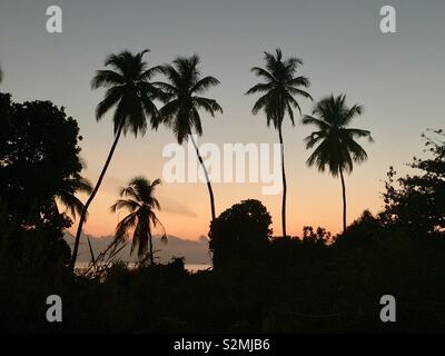 Sonnenuntergänge auf den Malediven Stockfoto