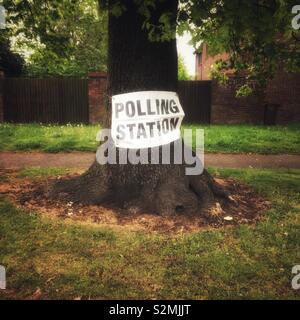 Wahllokal Banner auf Baum Stockfoto