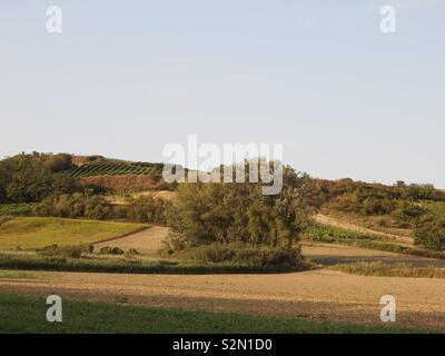 Landschaft im Weinviertel Stockfoto
