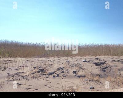 Sanddünen Stockfoto