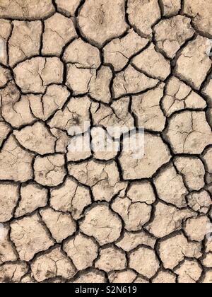 Ausgetrocknet rissig Schlamm. Stockfoto