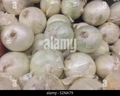 Raw weißen Zwiebeln auf dem Display und für den Verkauf auf dem lokalen Markt produzieren. Stockfoto