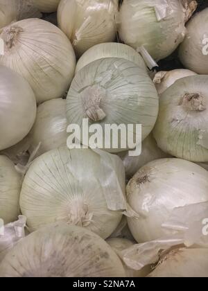 Raw weißen Zwiebeln auf dem Display und für den Verkauf auf dem lokalen Markt produzieren. Stockfoto