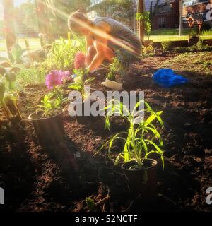 Junge Frau Blumen Pflanzen in Ihrem Garten Stockfoto