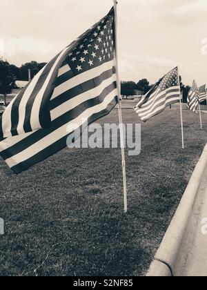 USA Fahnen Linie Antrieb zum Gedenken an die gefallenen Soldaten über das Memorial Day Wochenende Stockfoto