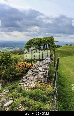 Naturen Anfänge Stockfoto