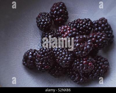 Nahaufnahme von Brombeeren auf neutralem Hintergrund Stockfoto