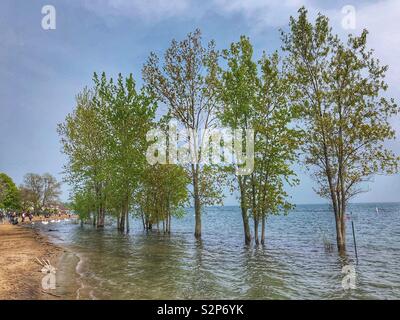 Hochwasser Flut den Strand am Ufer des Lake Ontario. Stockfoto