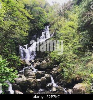 Killarney Nationalpark Stockfoto