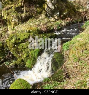 Ein kleiner Bach im Frühjahr in Westnorwegen. Stockfoto