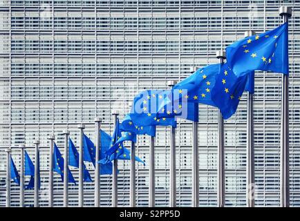 Europäische Union Flaggen vor dem Gebäude der Europäischen Kommission, Brüssel Stockfoto