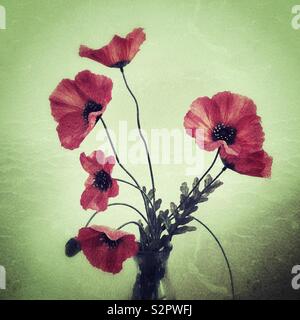 Mohn in einem Glas Vase gegen einen einfachen Hintergrund, Textur Filter hinzugefügt. Stockfoto