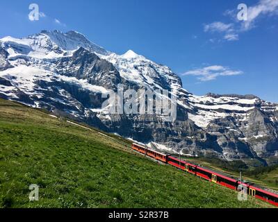 Zug zum Jungfraujoch über Kleine Scheidegg mit dem Berg Jungfrau, Berner Alpen, Schweiz. Stockfoto