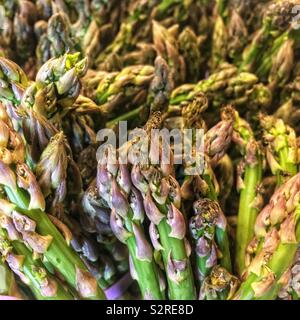 Viele frische und köstliche Lecker reif Grüne Spargelspitzen. Stockfoto