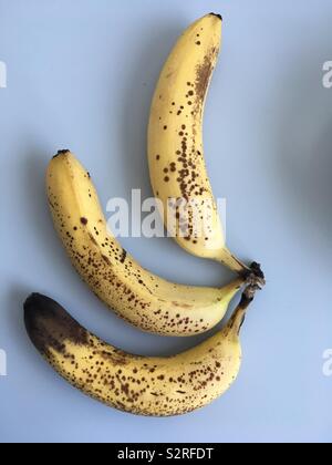 Drei reife Bananen auf einem hellgrauen Hintergrund Stockfoto