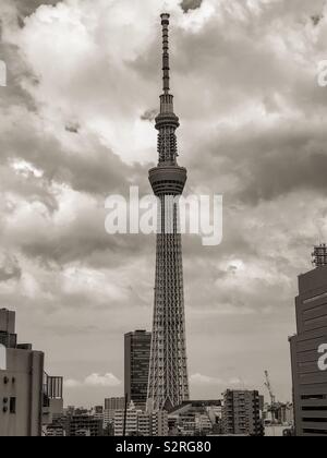 Sky Tree Tower, Tokyo Japan Stockfoto