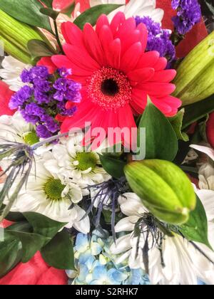 Fragrant Bouquet von bunten Sommer Blüten. Stockfoto