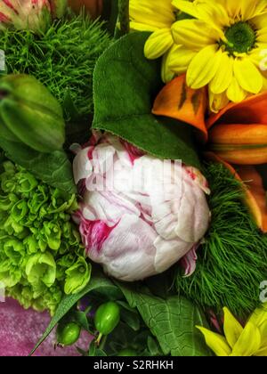 Fragrant Bouquet von bunten Sommer Blüten auch eine angehende rosa Pfingstrose. Stockfoto