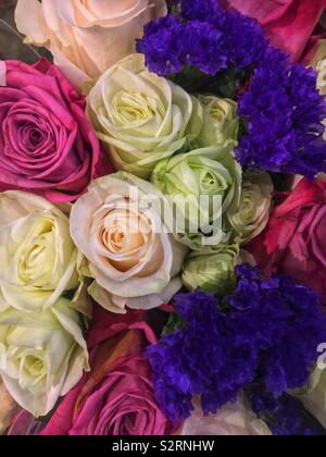 Schönen Blumenstrauß der frischen bunten Rosen in voller Blüte. Stockfoto