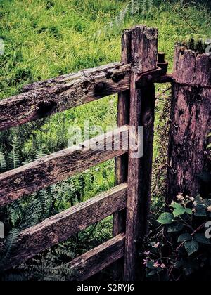 Alte hölzerne Tor zum Feld. Stockfoto