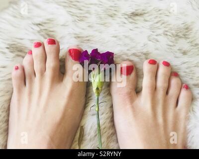 Eine schöne Frau, die Füße mit den rot lackierten Zehennägel auf eine weiche, flauschige Hintergrund mit einer Blume, zwischen ihren Füßen angezeigt Stockfoto