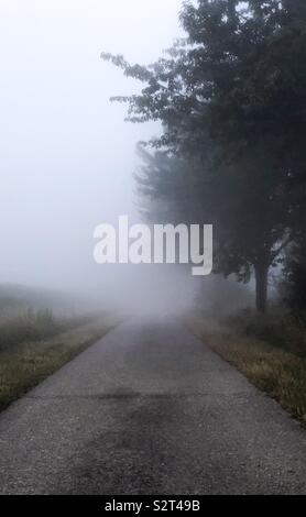 Landschaft Landschaft mit einem Land, mit Bäumen gesäumten Straße zwischen den farmfields in einer dichten Morgennebel bedeckt Stockfoto