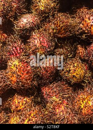 Reif, rambutan Nephelium lappaceum, tropische Früchte und Samen. Stockfoto