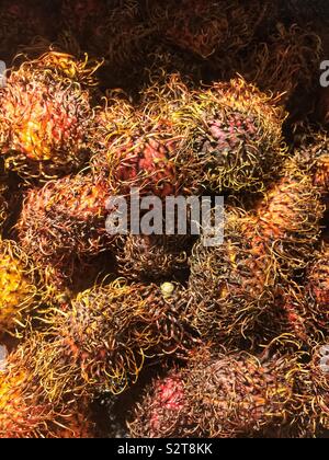 Reif, rambutan Nephelium lappaceum, tropische Früchte und Samen. Stockfoto