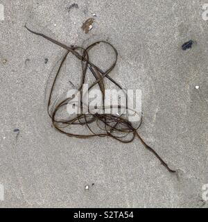 Abstrakte Darstellung von auf Sand gestrandeten Algen. Mobiltelefon-Foto mit einem Telefon oder Tablet Nachverarbeitung. Stockfoto