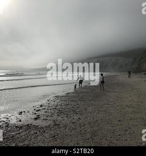 Laufen mit dem Hund an Compton Strand in Compton Chine, Isle of Wight, Großbritannien. Stockfoto