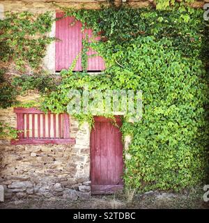 Detail von einem alten Steinhaus Fassade mit Burgund rot hölzerne Tür und Fensterläden und Klettern Efeu Stockfoto