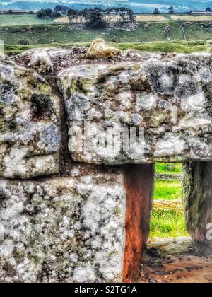 Blick durch und über Abschnitt der römischen Festung auf Hadrian's Wall, Housesteads, Northumberland, England. Stein fort um AD 124 gebaut Stockfoto