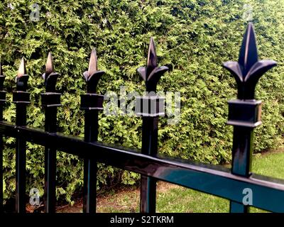 Detail eines Schwarzen Eisen eingerichtet Zaun mit grünen Pflanzen im Hintergrund Stockfoto