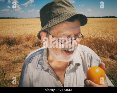 Outdoor Portrait von bärtigen älteren Landwirt lächelnd und bereit organische gelbe Tomate im Weizenfeld zu essen Stockfoto