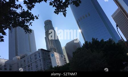 LOS ANGELES, Ca, May 2019: dramatische Sicht auf Downtown Wolkenkratzer umrahmt von Laub und beleuchtet aus Sonne, hinter Stockfoto