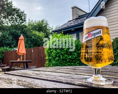 Pint kühles Bier im Biergarten im Sommer Stockfoto