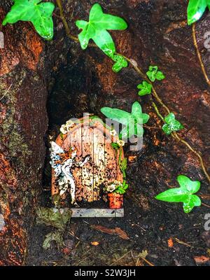Feen in den Wald Stockfoto