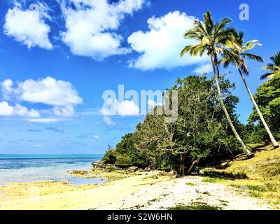 Die Isle of Pines ist eine französische Gebiet im Südpazifik. Die Insel ist für seine hohen Pinien und weiße Sandstrände bekannt. Stockfoto