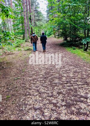 Rückansicht des Mannes und der Frau gehen mit gleichen Schritt auf einem Pfad in den Wald im Herbst - glücklich verheiratete Paare tun jeden Tag draußen Kleben und Freizeitaktivitäten zusammen - Vereinigtes Königreich Stockfoto