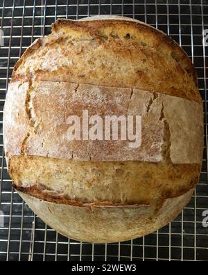 Hausgemachte Sauerteig Brot auf dem Kochen Rack Stockfoto