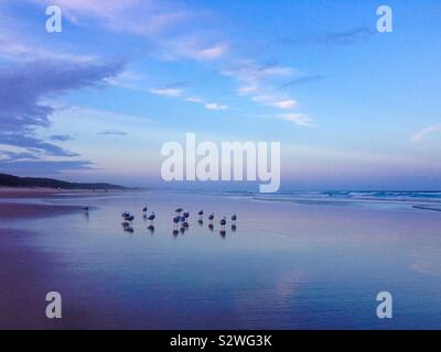 Sonnenuntergang bei Ebbe am Strand mit Spiegel Reflexion von Wolken, Wasser und Möwen und lebendige Lila, Pink, Blau und Silber Farben Stockfoto